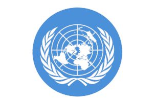 संयुक्त राष्ट्र संघ, इसके संगठन व अंतर्राष्ट्रीय संगठन की अवधारणा, संयुक्त राष्ट्र का सिद्धांत