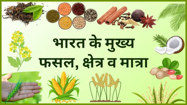 भारत के मुख्य फसलें, वर्गीकरण, क्षेत्र व अन्य तथ्य | Major Crops of India