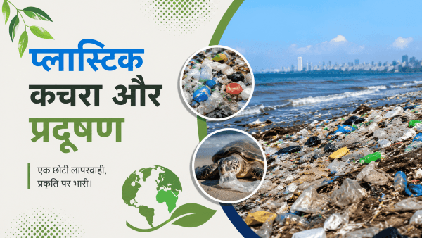 प्लास्टिक कचरा और प्रदूषण 3 प्लास्टिक कचरा और प्रदूषण, समुद्र तट पर प्लास्टिक कचरा, प्लास्टिक प्रदूषण से प्रभावित समुद्री जीव और पर्यावरण