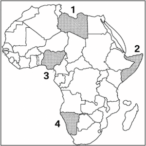 South_Africa_Nations_Identification_Question