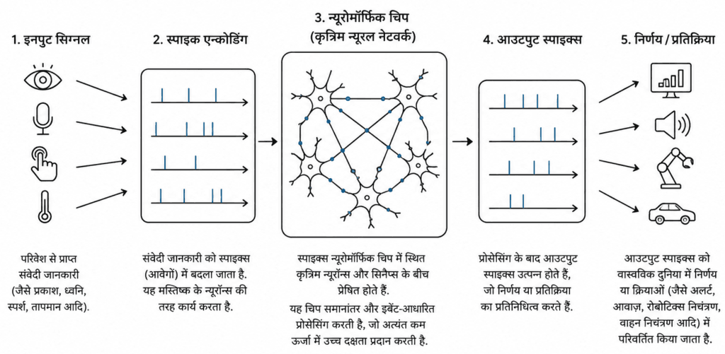 न्यूरोमॉर्फिक कंप्यूटिंग: मस्तिष्क से प्रेरित अगली पीढ़ी की संगणना 1 न्यूरोमॉर्फिक कंप्यूटिंग के कार्यपणाली
